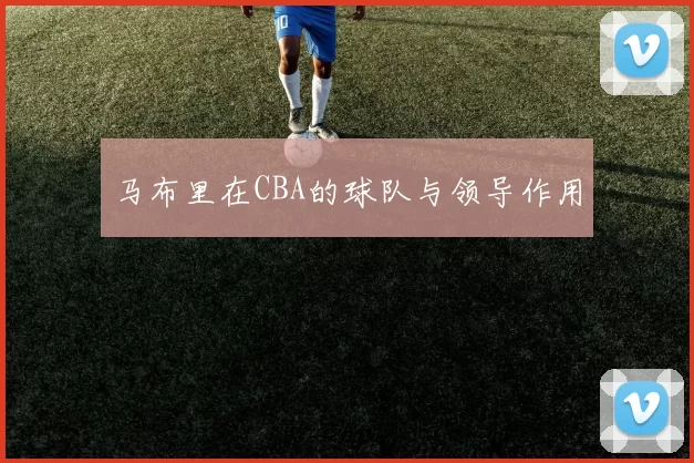马布里在CBA的球队与领导作用
