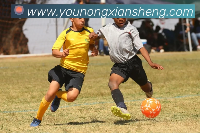 多媒体互动体验