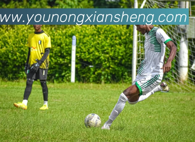 九游体育APP 高清赛事图